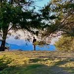 Aaron Feuer - @feueraaron - Instagram