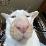 Aaron Findlay - @aaronfindlay__ - Instagram