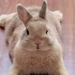 Aaron Findlay - @aaronfindlay2701 - Instagram