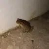 Aaron Flora - @aaronflora6 - TikTok