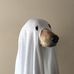 Aaron Skylar Flynn - Facebook