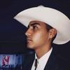 aaron loya - @aaronloyafolk - TikTok