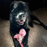 Aaron Followwill - @a.a.ron.392 - Instagram