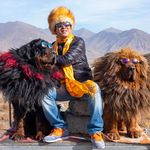 Aaron Fong - @aaronfong2003 - Instagram