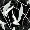 aaronfong2023 - @aaronfong2023 - TikTok
