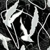 aaronfong272 - @aaronfong272 - TikTok