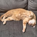 Jacob Aaron Fordham - @jacob04776 - Instagram