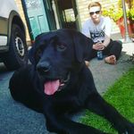 Aaron Formanekgibson - @aaron_formanekgibson - Instagram