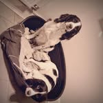 Aaron Forster - @aaronforster12 - Instagram
