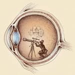 Aaron Forster - @mrmetheglin - Instagram