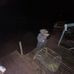 Branden Aron James Fortner - Facebook