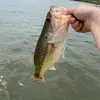AAron Fort - @aaron.f123 - TikTok