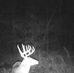 Aaron Fowler - Facebook