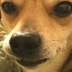 Aaron Fraley - @aaroncfraley - Instagram