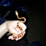 Aaron Fraley - @aaronfraley1804 - Instagram