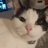 Aaron Fraley - @aaronfraley1804 - TikTok