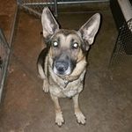Aaron Franks - @franks7872 - Instagram