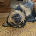 Aaron Fredrickson - @avfx - Instagram