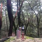 Aaron Freese - @aar_n_vapes81 - Instagram