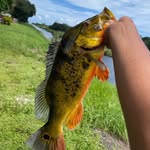 @freshwateraaron561 - Instagram