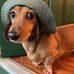 Aaron Freund - Facebook