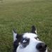 Aaron Frey Keplinger - Facebook