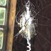Aaron Fulmer - Facebook