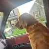 aaronjustaaron - @aaronfuqua635 - TikTok