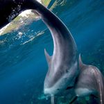 Aaron Furman - @aaron.furman.75 - Instagram