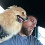 Aaron Garman - @aarongarman1994 - Instagram