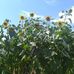 Aaron Garrow - Facebook
