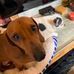 Aaron Michael Elvis Getz - Facebook