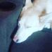 Aaron Gilbert - Facebook