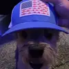 Aarongilbertson - @aaronrocketman - TikTok