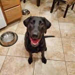 Aaron Ginn - @ajginn - Instagram