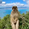 GLENN AARON - @glenn.aaron_ - TikTok