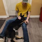 Aaron Gramley - Facebook