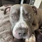 Aaron Granado - @aar_ong8473 - Instagram