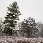 Aaron Grassel - @aaroncasey49 - Instagram