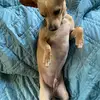 Aaron Greenbaum - @aarongreenbaum - TikTok