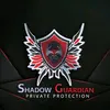 Shadow Guardian P PROTECTION - @aarongreen.sgpp - TikTok