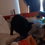 Aaron greve - @greve.aaron - Instagram