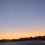 Aaron Grieve - @jegarbul.frenchies - Instagram