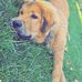 Aaron Grimm - Facebook