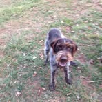 Aaron Grimsley - Facebook