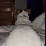 aaron grindle the sequel - @grundl_ - Instagram