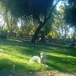 Griselda Aaron David - @griseldaaarondavid - Instagram