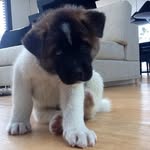 @aarongrist2011 - Instagram