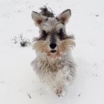 Aaron Groom - @groom.aaron - Instagram