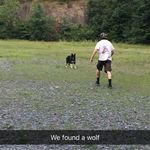 Aaron Gross - @aaron_gross - Instagram